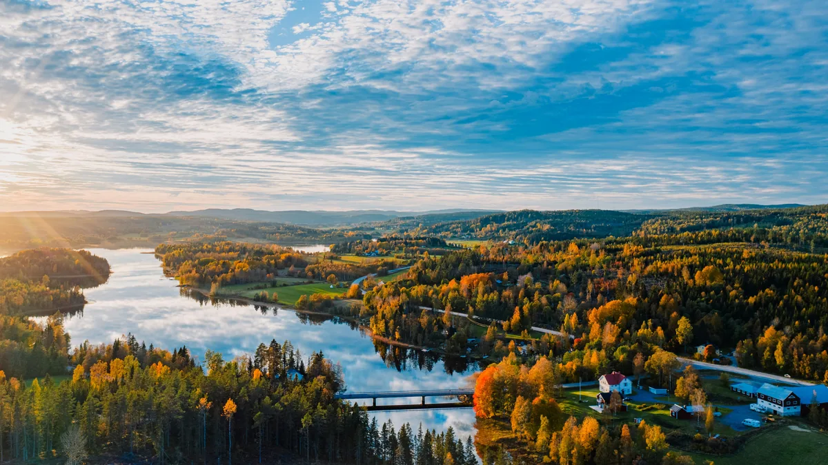 Illustration af svensk sø, skov og rød træhytte